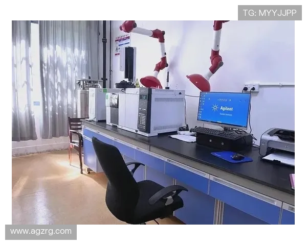 多线路选择保障安全稳定，优质旗舰厅ag登录线路全面解析